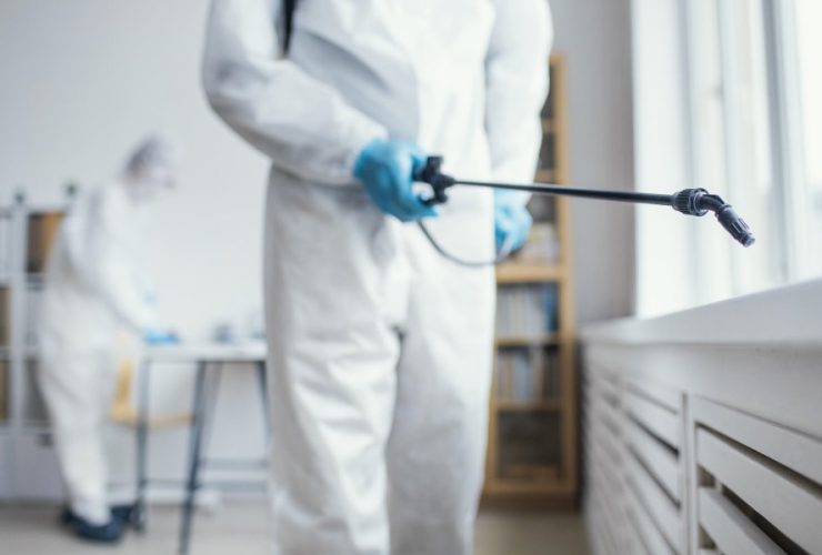 pest control