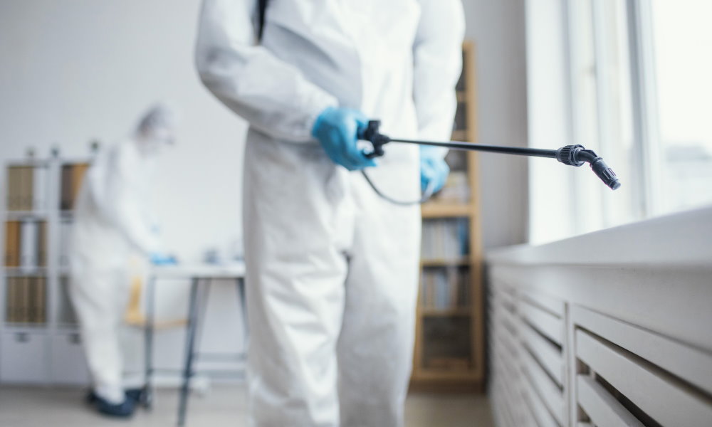 pest control
